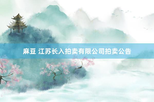 麻豆 江苏长入拍卖有限公司拍卖公告