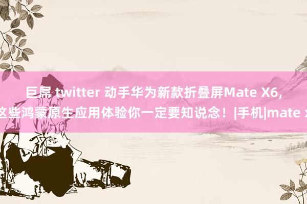 巨屌 twitter 动手华为新款折叠屏Mate X6，这些鸿蒙原生应用体验你一定要知说念！|手机|mate x