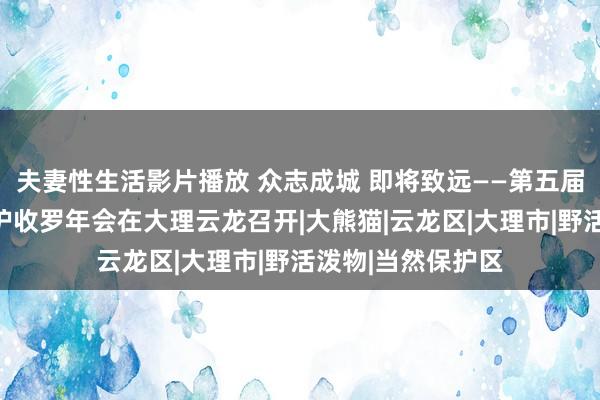 夫妻性生活影片播放 众志成城 即将致远——第五届滇金丝猴全境保护收罗年会在大理云龙召开|大熊猫|云龙区|大理市|野活泼物|当然保护区